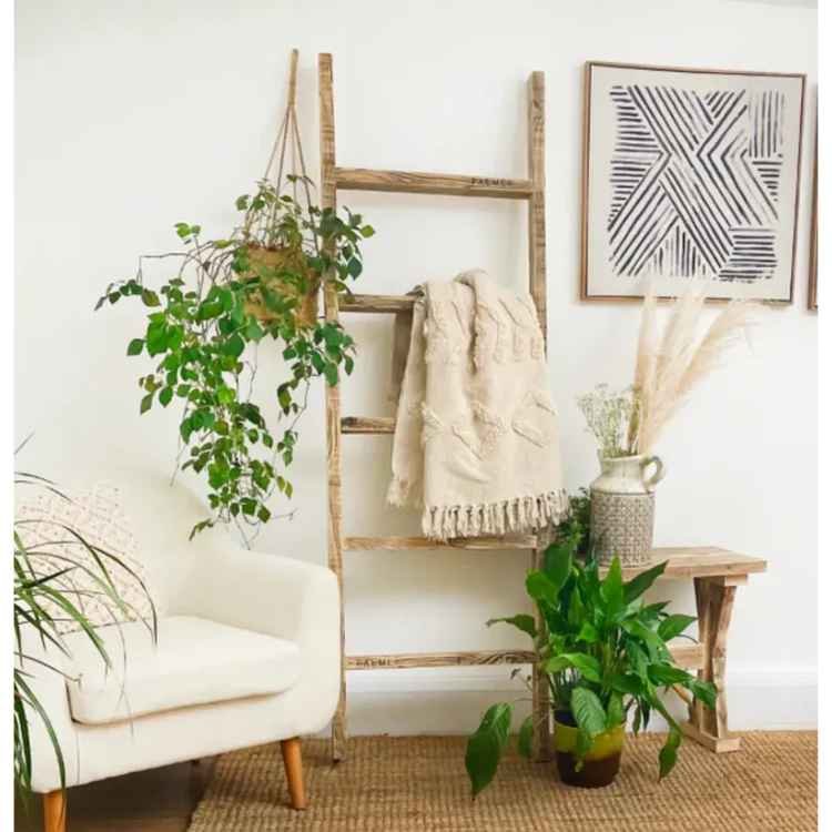blanket ladder